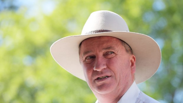 Deputy Prime Minister Barnaby Joyce is expecting a child with a former staffer.