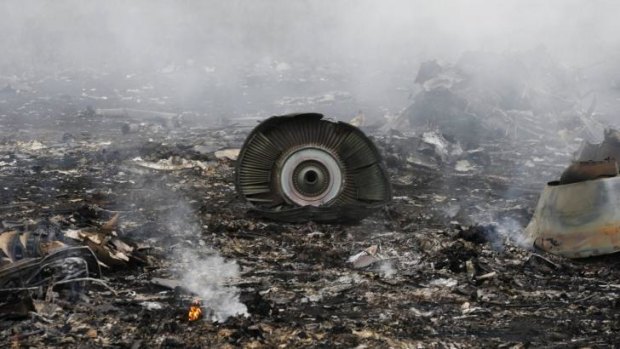 The site of a Malaysia Airlines Boeing 777 plane crash is seen near the settlement of Grabovo in the Donetsk region, July 17, 2014
