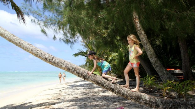 Ella climbs a palm tree with a friend.