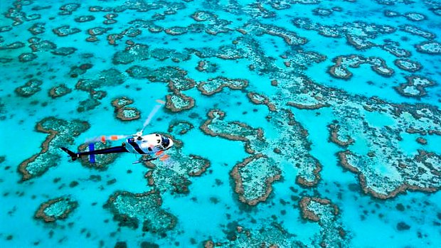 Levels of major pollutants entering the reef's waters have fallen following years of government-backed action by landholders.