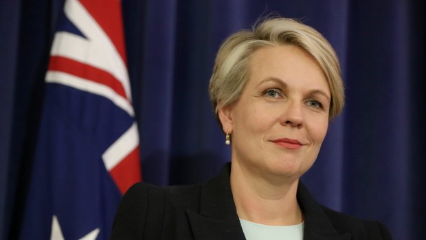 Labor deputy leader Tanya Plibersek accused Malcolm Turnbull of "thought bubble" policy making.