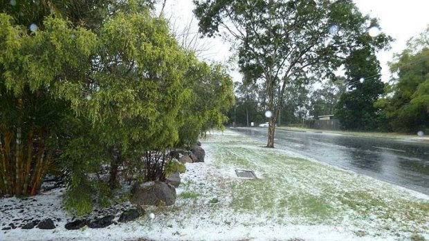 A reader's photo of hail left behind by the storm at Moss Road, Camira.