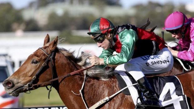 Looking good: Blake Shinn scores an emotional victory on I've Got The Looks at Rosehill.