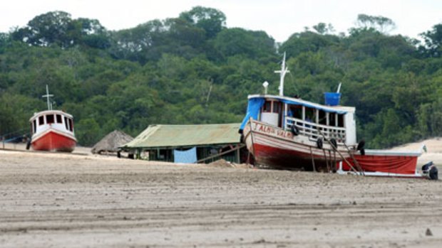 When the river runs dry ... ferries sit on the bed of the Negro River in northern Brazil in October.