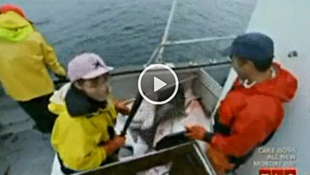 Cruel or humane? ... Sarah Palin goes halibut fishing on her reality TV show.