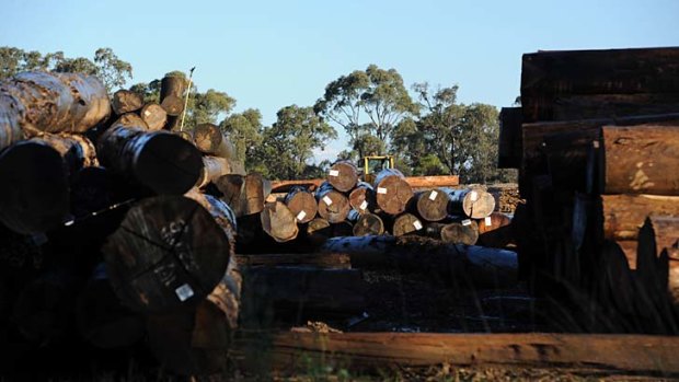 The sawmill where senator-elect Ricky Muir works.