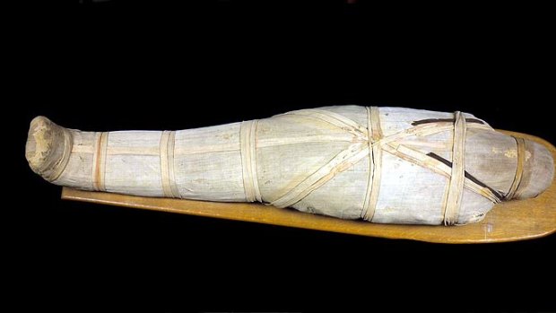 An adult mummy that will be on display at the Queensland Museum.