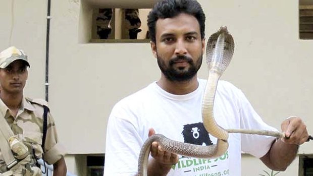 A volunteer from Wildlife SOS is watched by Indian security personnel as he holds a cobra snake outside The R.K Khanna Tennis Stadium in New Delhi.