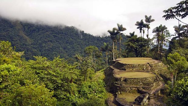 Jungle ruins ... view from the top of Colombia's Lost City.