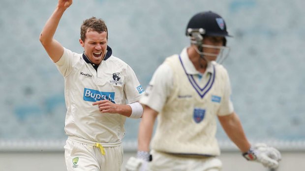 In the frame: Peter Siddle will miss a Shield round.