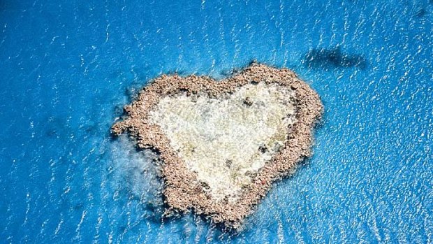 Why say it with flowers when you can say it with coral? Heart Reef on the Great Barrier Reef in Queensland.