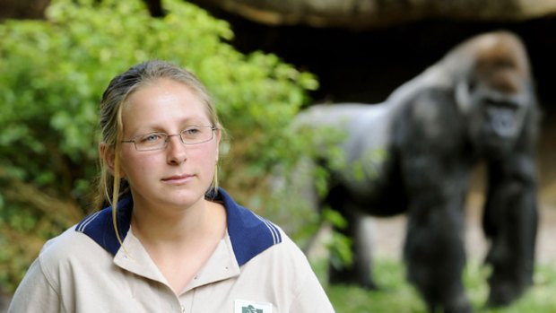 Andrea Edwards at Melbourne Zoo's gorilla enclosure.