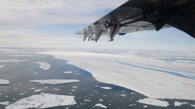 The ice chunk adrift after separating from the Ward Hunt Ice Shelf off Canada's far north.