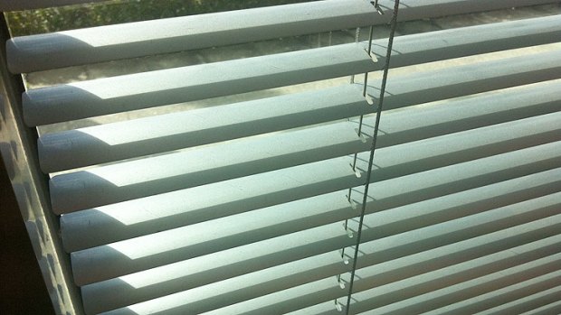 The blinds (similar to these) in the rented rear unit she shared with her daughter were always closed but that it was 'still possible for somebody to see in from outside'.