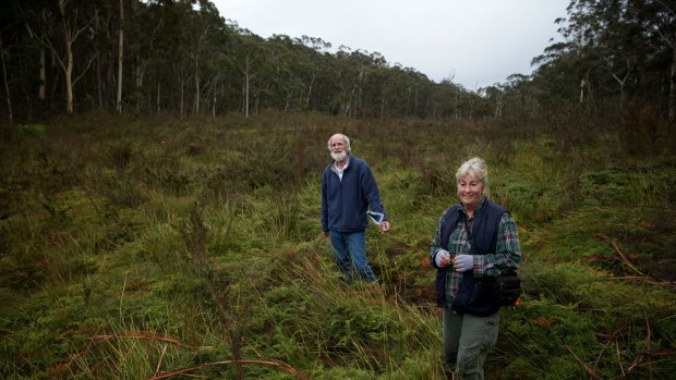Chris Jonkers and Julie Favell from the Lithgow Environment Group at the pristine Carne West swamp.