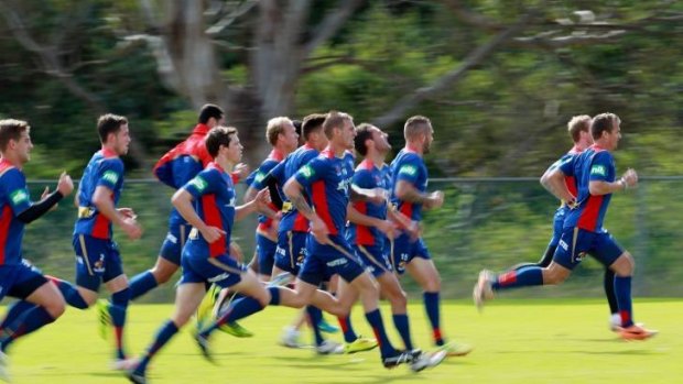 In the shop window: The Newcastle Jets at training last week.