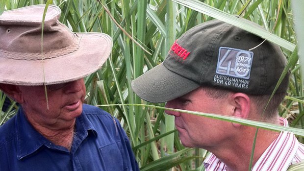 Campbell Newman speaks with Mackay canegrower Pat Young today.