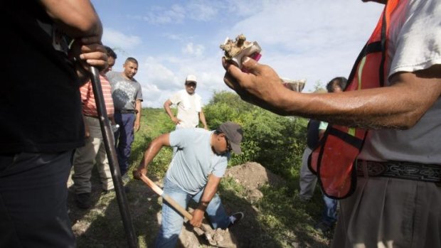 A volunteer searching for bodies holds up a bone fragment at a site near the outskirts of Iguala, Mexico.