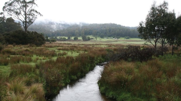 The landscape of the Great Western Tiers.