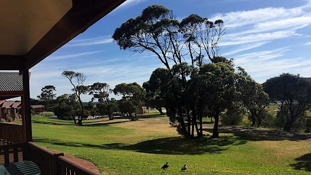 The view from our chalet at the Big4 Ocean Beach Holiday Park.