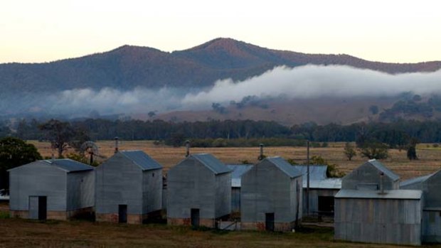 Falling down ... Tobacco sheds at Myrtleford.