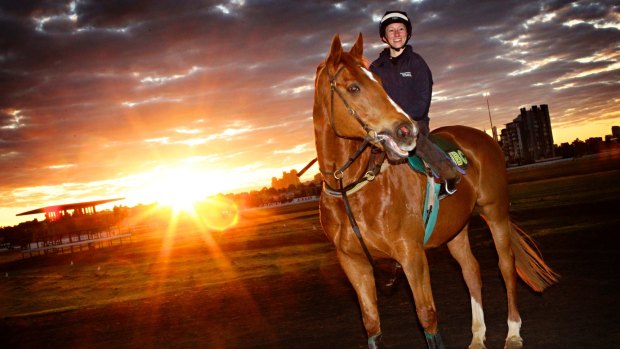 The retired and still handsome Saintly returns to Flemington with track rider Katelyn Mallyon in 2011.