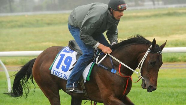 Ryan Prendergast gives Tres Blue a workout at Werribee last Wednesday.