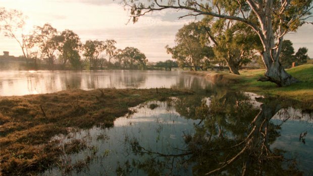 The Murray River near Albury and Wodonga.