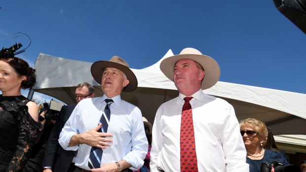 Liberal leader Malcolm Turnbull joins Nationals leader in-exile Barnaby Joyce at the Tamworth Jockey Club earlier this month.