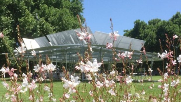 Last year's planting by Paul Bangay at MPavilion, in Melbourne's Queen Victoria Gardens.