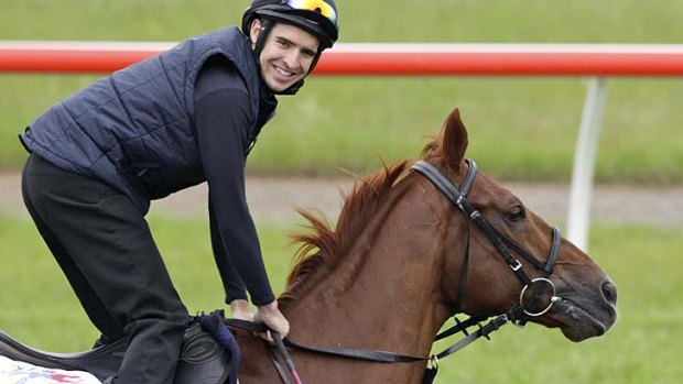 Riding high: Michael Rodd enjoys getting the feel of Red Cadeaux at Werribee yesterday.