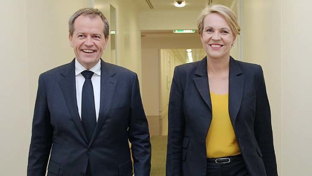 Opposition Leader Bill Shorten was joined by Deputy Opposition Leader Tanya Plibersek for the announcement. Ms Plibersek takes on foreign affairs in Labor's new frontbench.