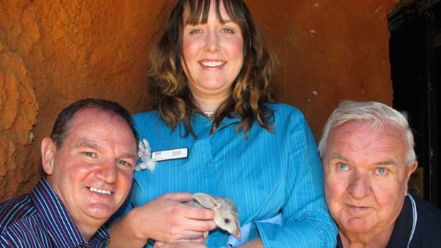 Bilby proud: Ipswich mayor Paul Pisasale, Ipswich  zoo-keeper Wendy McCullagh and Frank Manthey, co-founder of the Save the Bilby Foundation.