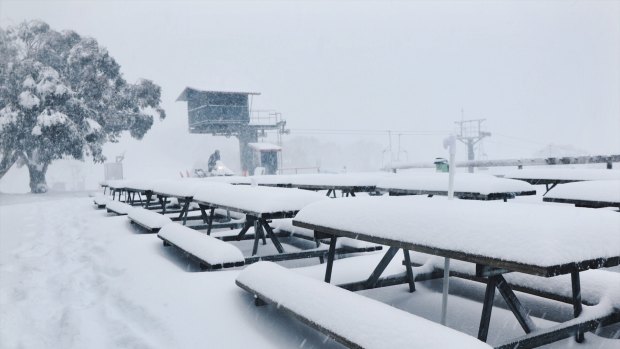 Selwyn saw over half a metre of snow over the weekend in near white-out conditions.