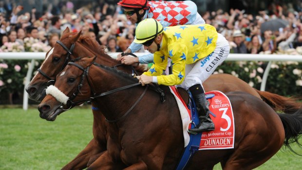 Bargain: 2011 Melbourne Cup winner Dunaden is standing at stud for a fee of $5500.