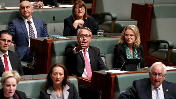 Wayne Swan during Question Time.