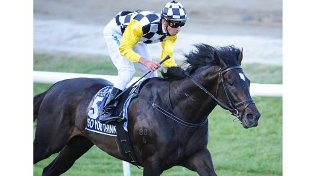 Think big: Steven Arnold's triumphs on So You Think in the 2010 spring began with the Memsie Stakes.