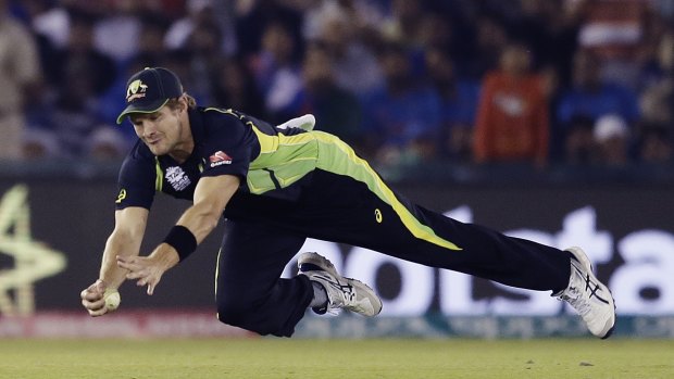 Australia's Shane Watson dives to take a catch to dismiss Yuvraj Singh.