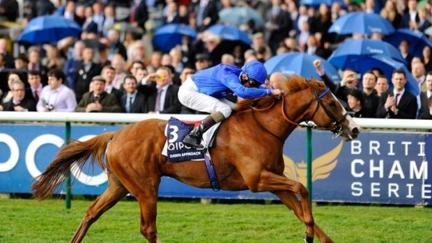 True colours: Kevin Manning, coated in the famous Godolphin blue, pilots Dawn Approach to the 2000 Guineas Stakes at Newmarket last May.