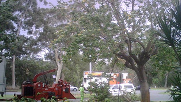Repair crews clean up after strong winds damaged trees near Kings Park today.