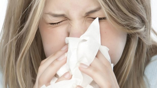 Recent wet, warm weather has produced near-perfect conditions for hay fever.