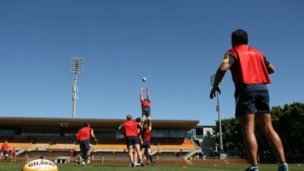 High jinx . . . second-rower Nathan Sharpe soars above his teammates at Wallabies training at Leichhardt Oval yesterday.
