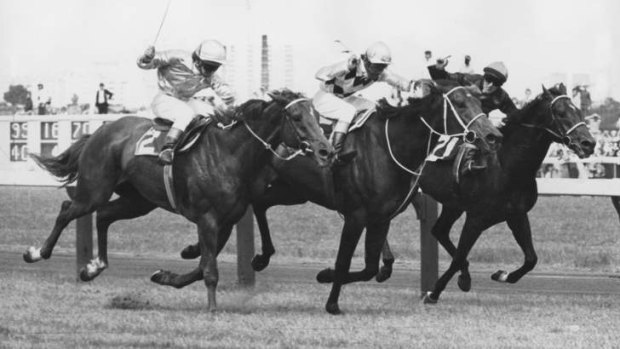 Epic underdog: Frank Reys pilots Gala Supreme, centre, to victory in 1973.