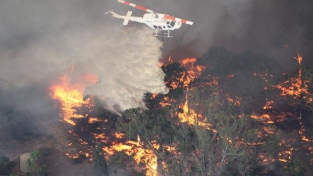 The 2014-15 bushfire season is forecast to be "above normal" with dangerous conditions.