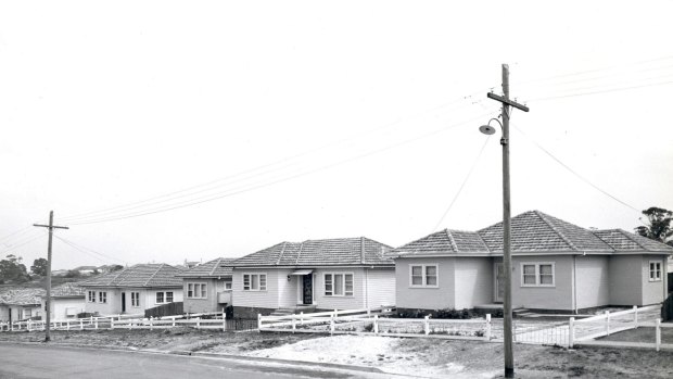 A housing development in the 1950s, typical of the style of housing commission homes built in this period.