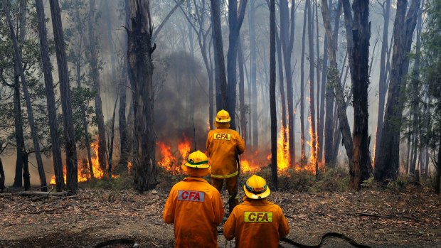 The minister didn't hose down reports of a bullying culture in the fire service.