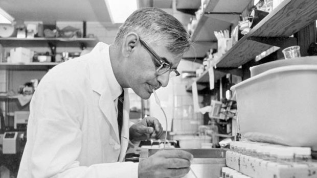 Important breakthrough ... The Nobel prize winner Har Gobind Khorana at work in his laboratory in the 1960s.