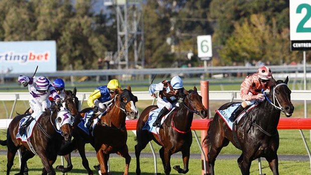 A familiar sight: Black Caviar leads the rest, this time during the Robert Sangster Stakes on on April 28.