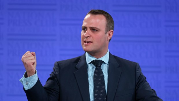 Human Rights Commissioner Tim Wilson will not seek Liberal preselection in Victoria.