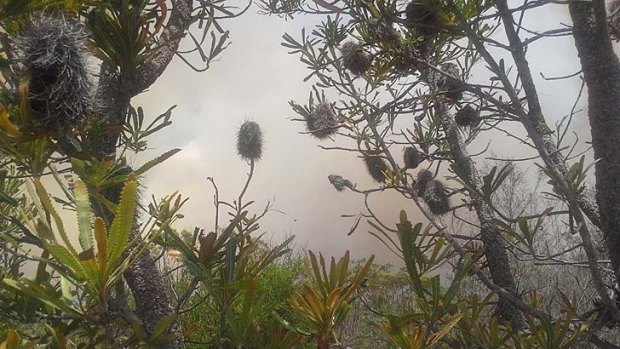 Smoke fills the air at North Stradbroke Island.